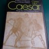 Gaius Julius Caesar Biographie Waltraud Lewin